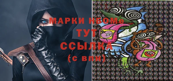 мдпв Абаза